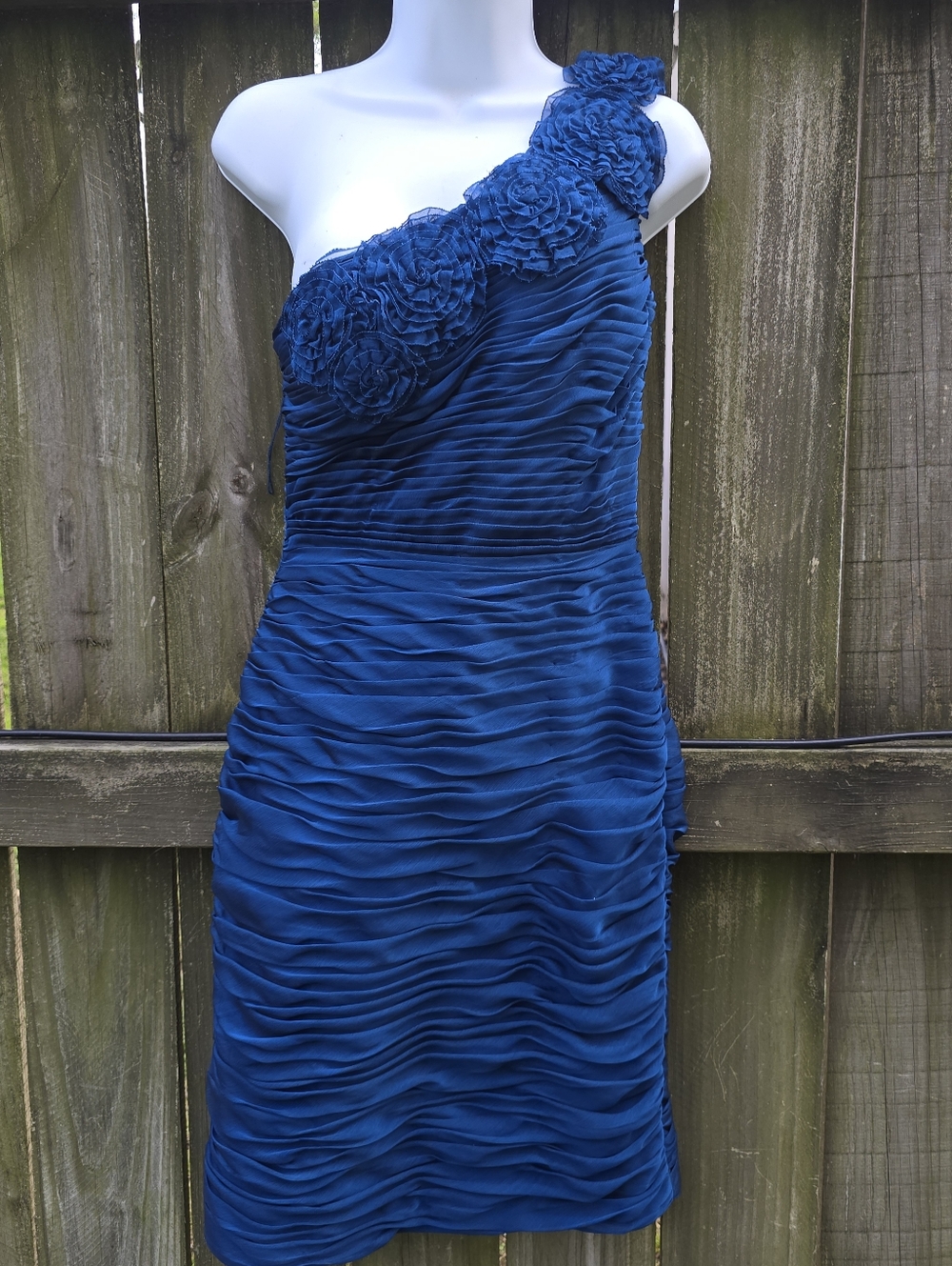 Adrianna Papell Dress